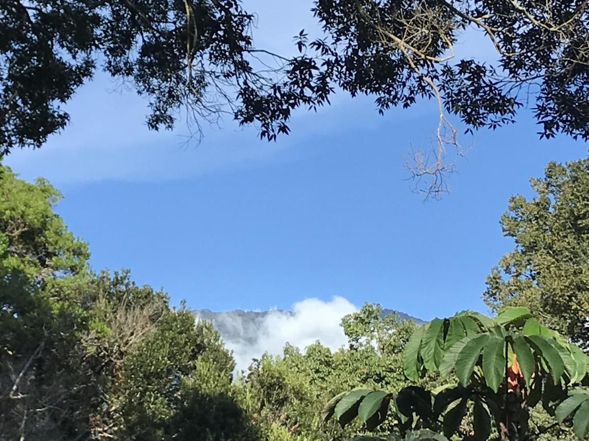 Casitas Vista Verde Bajo Boquete Kültér fotó