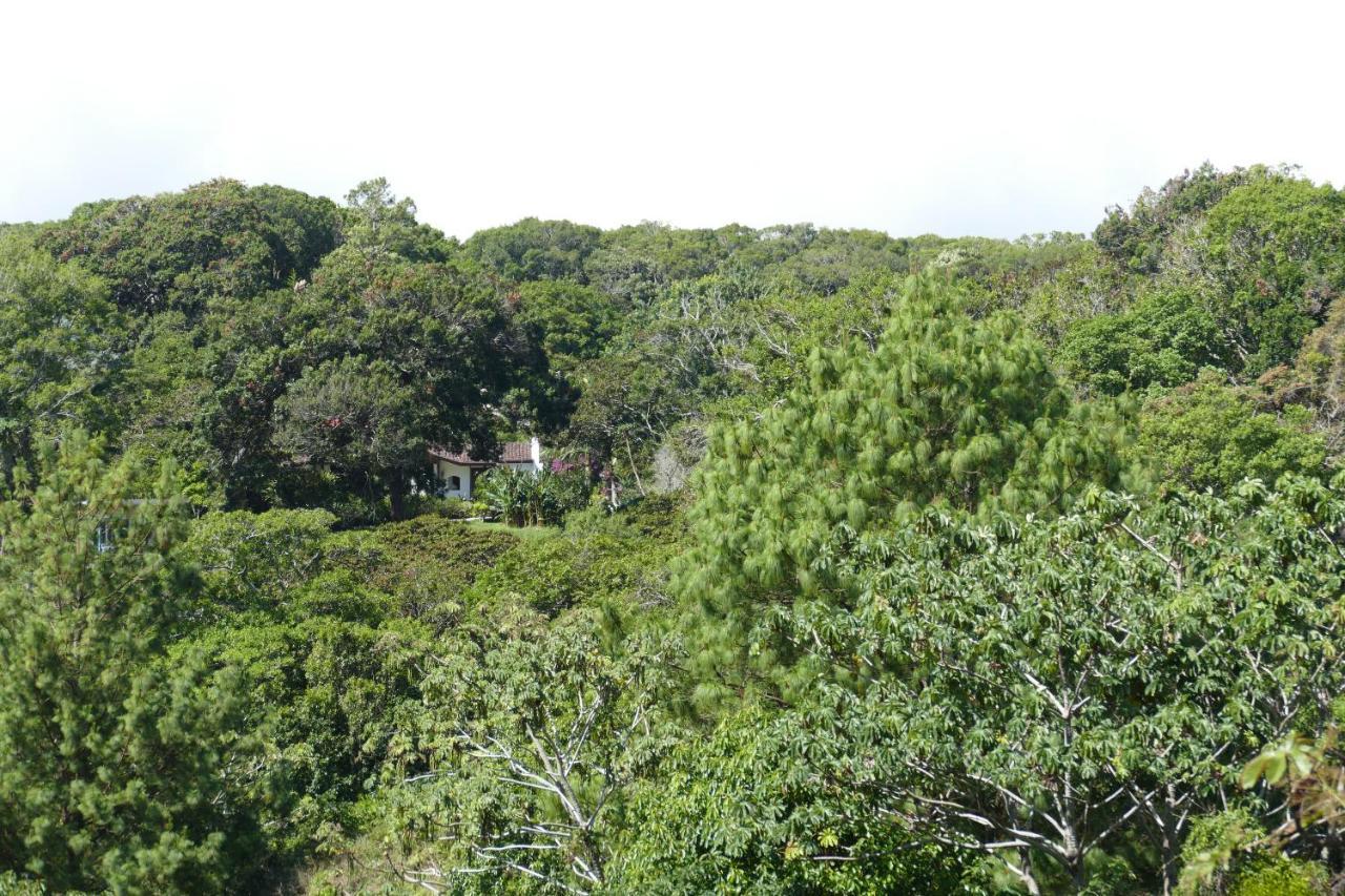 Casitas Vista Verde Bajo Boquete Kültér fotó