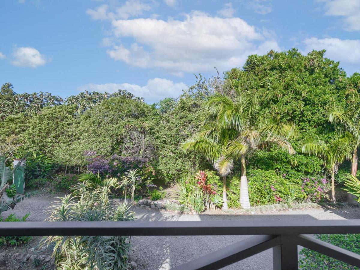 Casitas Vista Verde Bajo Boquete Kültér fotó