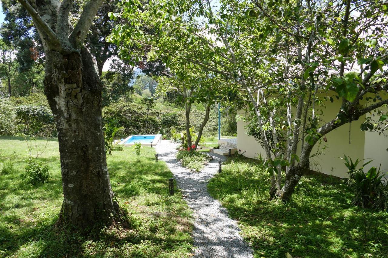 Casitas Vista Verde Bajo Boquete Kültér fotó