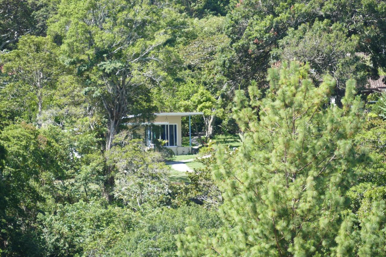 Casitas Vista Verde Bajo Boquete Kültér fotó