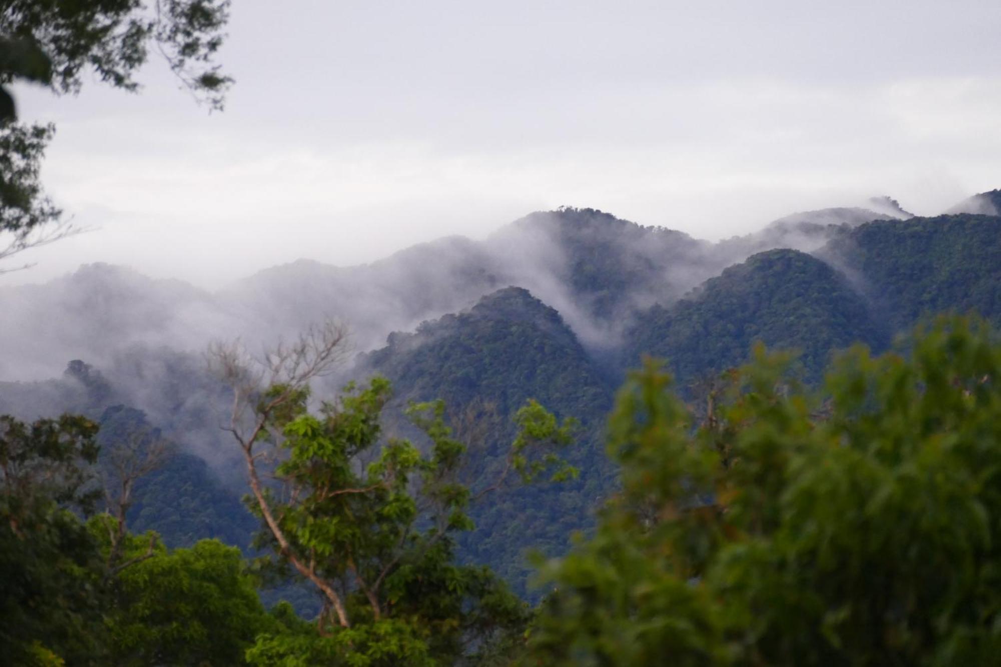 Casitas Vista Verde Bajo Boquete Kültér fotó