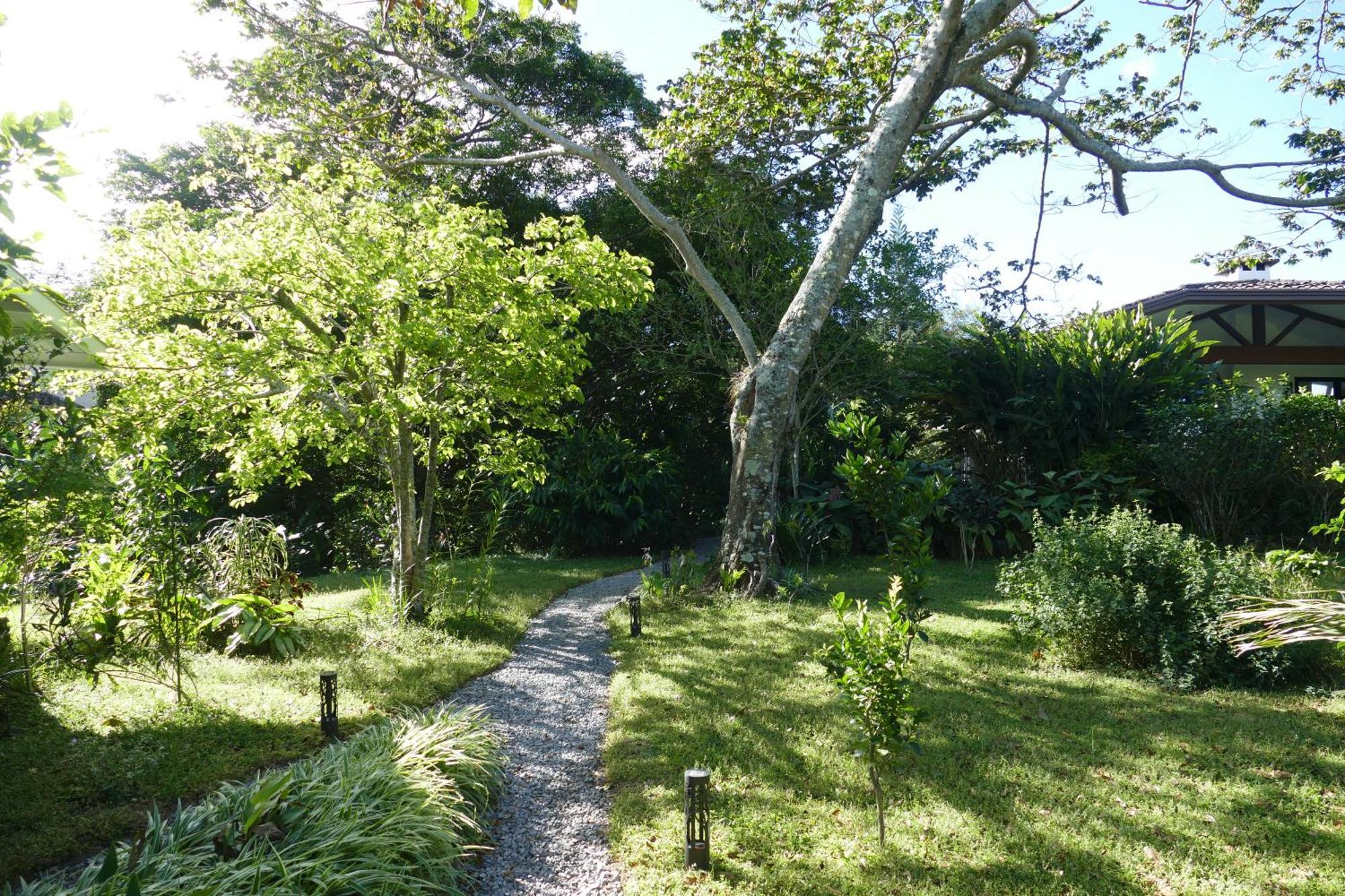 Casitas Vista Verde Bajo Boquete Kültér fotó