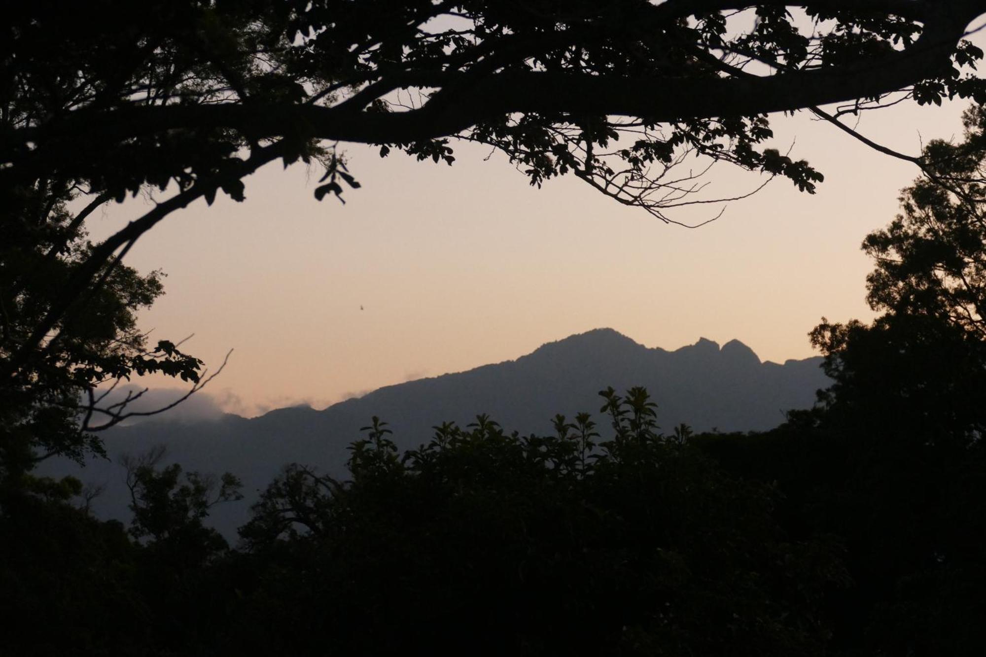 Casitas Vista Verde Bajo Boquete Kültér fotó